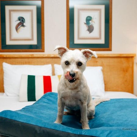 Timbers Motel Bigfork Dış mekan fotoğraf